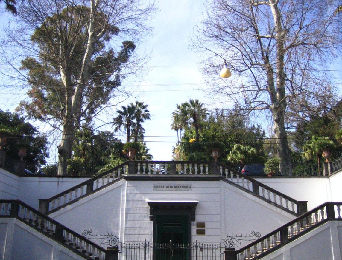 Ira House Daire Napoli Dış mekan fotoğraf